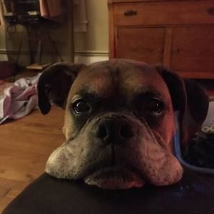 Meet your Posher, Chris